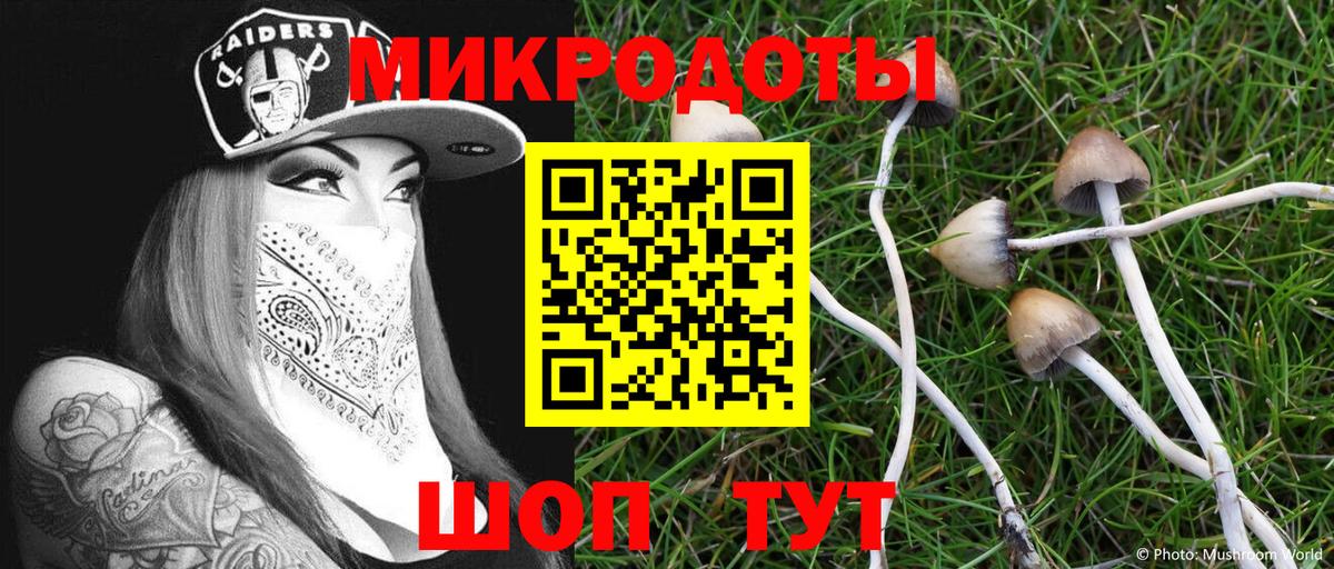 Галлюциногенные грибы Cubensis Мелеуз